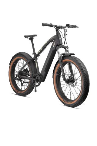 Loop Cruiser