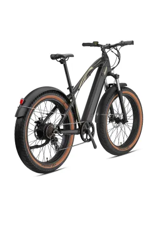 Loop Cruiser